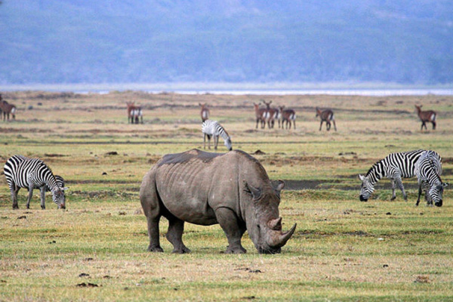 5-Day Majestic Tanzania Camping Safari